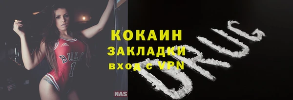 шишки Богданович