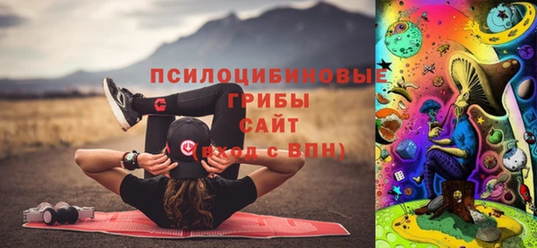 МДПВ Богородицк