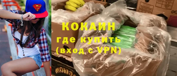 шишки Богданович